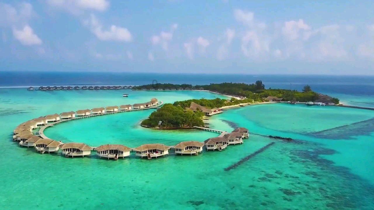 饥饿的松鼠救援