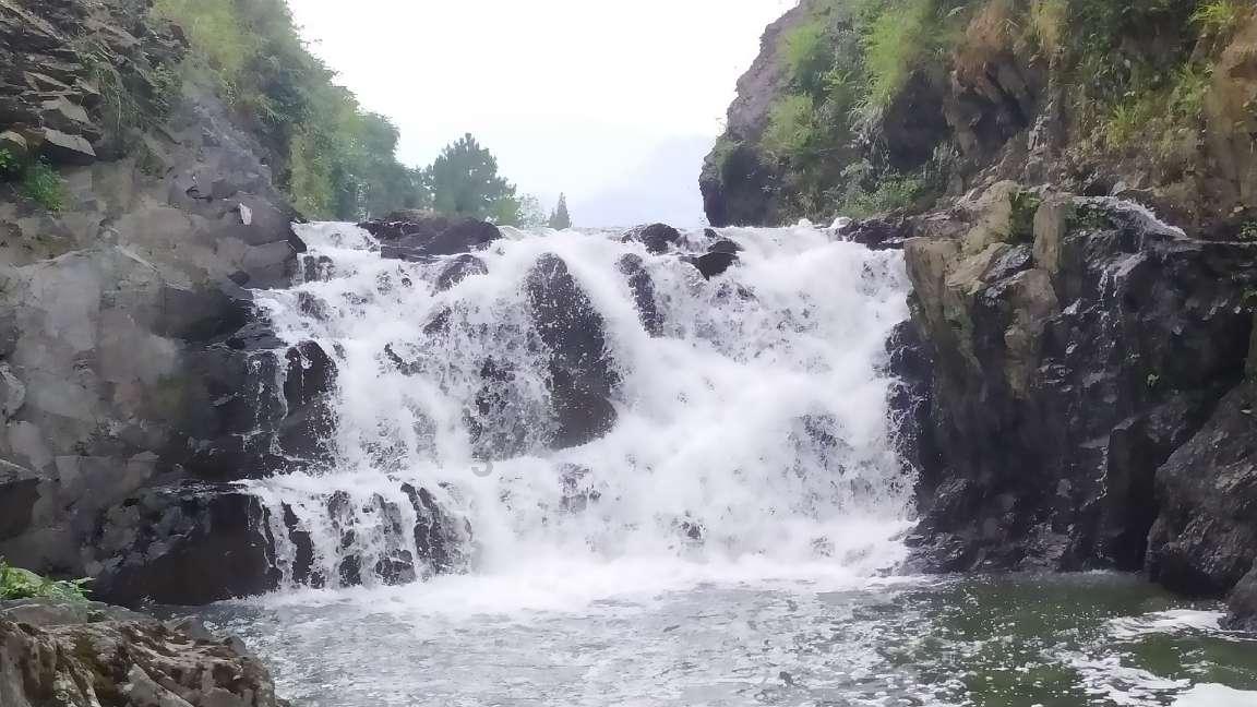勇士吹泡泡