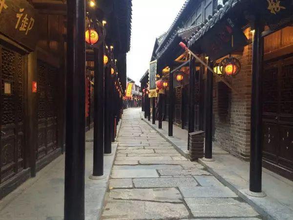 动物帮帮忙保卫家园