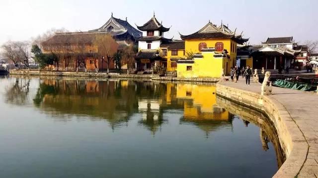 拯救小松鼠